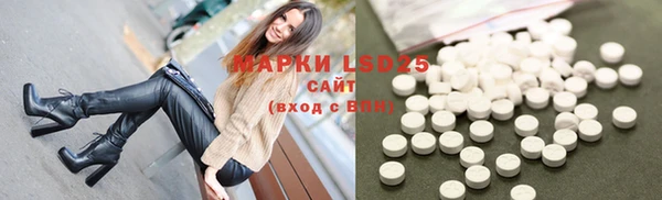 mdpv Богородицк