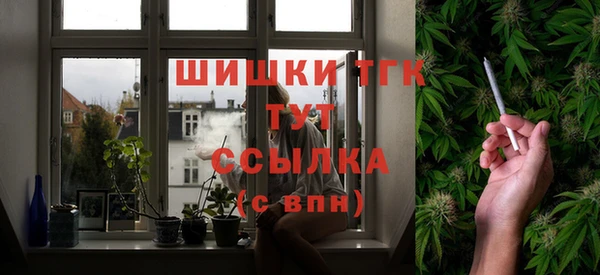mdpv Богородицк