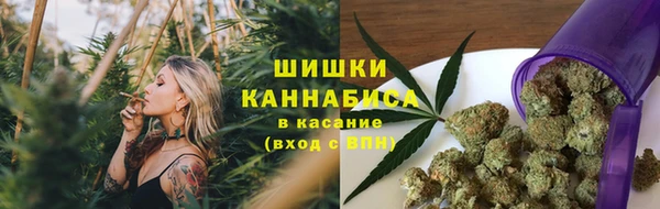 mdpv Богородицк